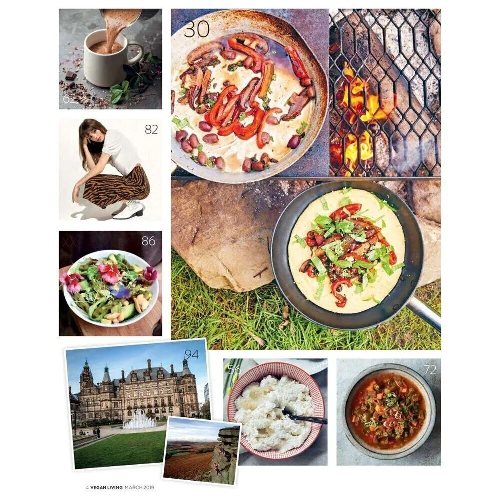 Vegan Living UK magazine March 2019 Retired Back Issue NEW